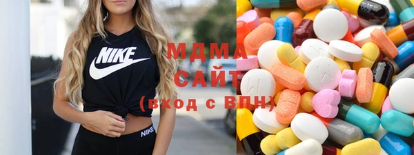 индика Алексин