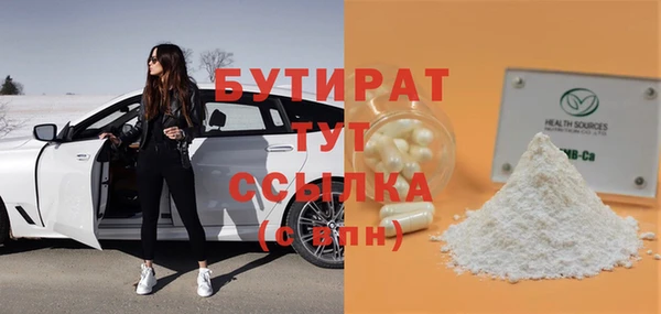 индика Алексин