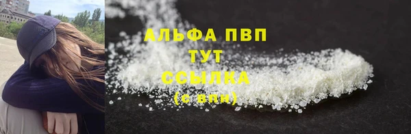 индика Алексин