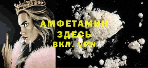индика Алексин