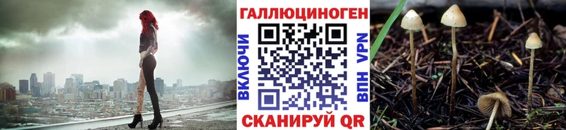 Псилоцибиновые грибы GOLDEN TEACHER  OMG как зайти  Астрахань 